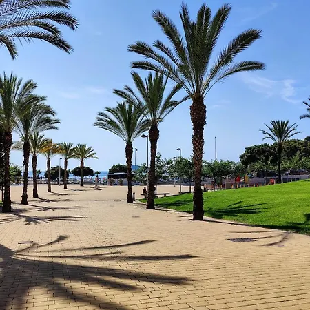 Cala Alta Design *