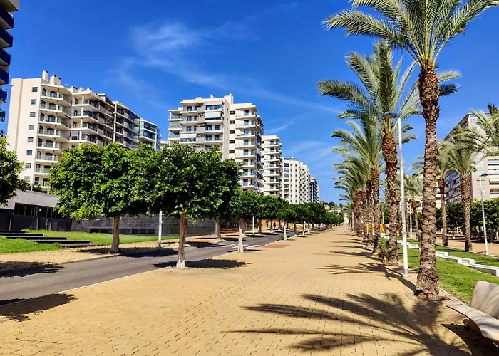 Cala Alta Design
