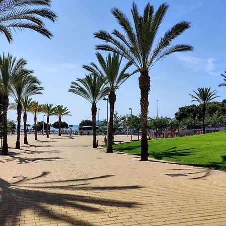 Cala Alta Design *